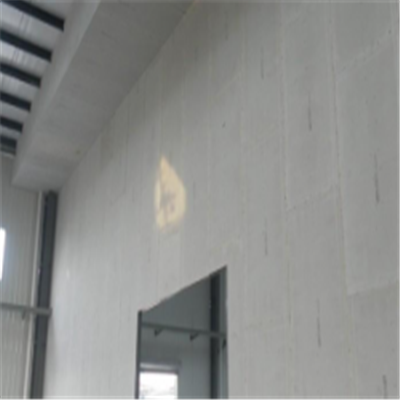 响水宁波ALC板|EPS加气板隔墙与混凝土整浇联接的实验研讨